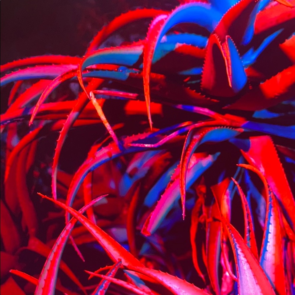 Meet your Posher, Natoiya